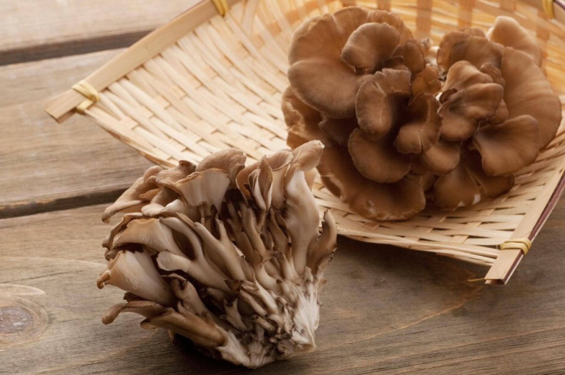 Maitake Mushroom Benefits