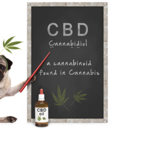 What is In CBD Oil Ingredients?